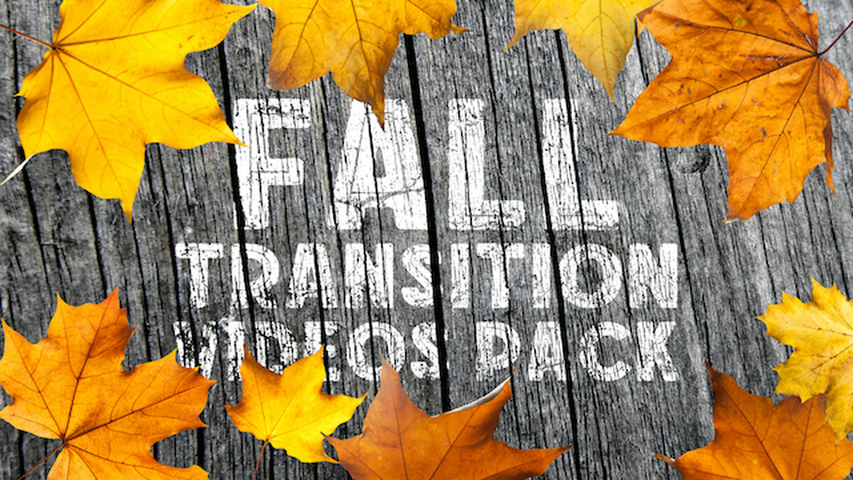 Fall Themed Countdown and Transition Videos Pack image number null